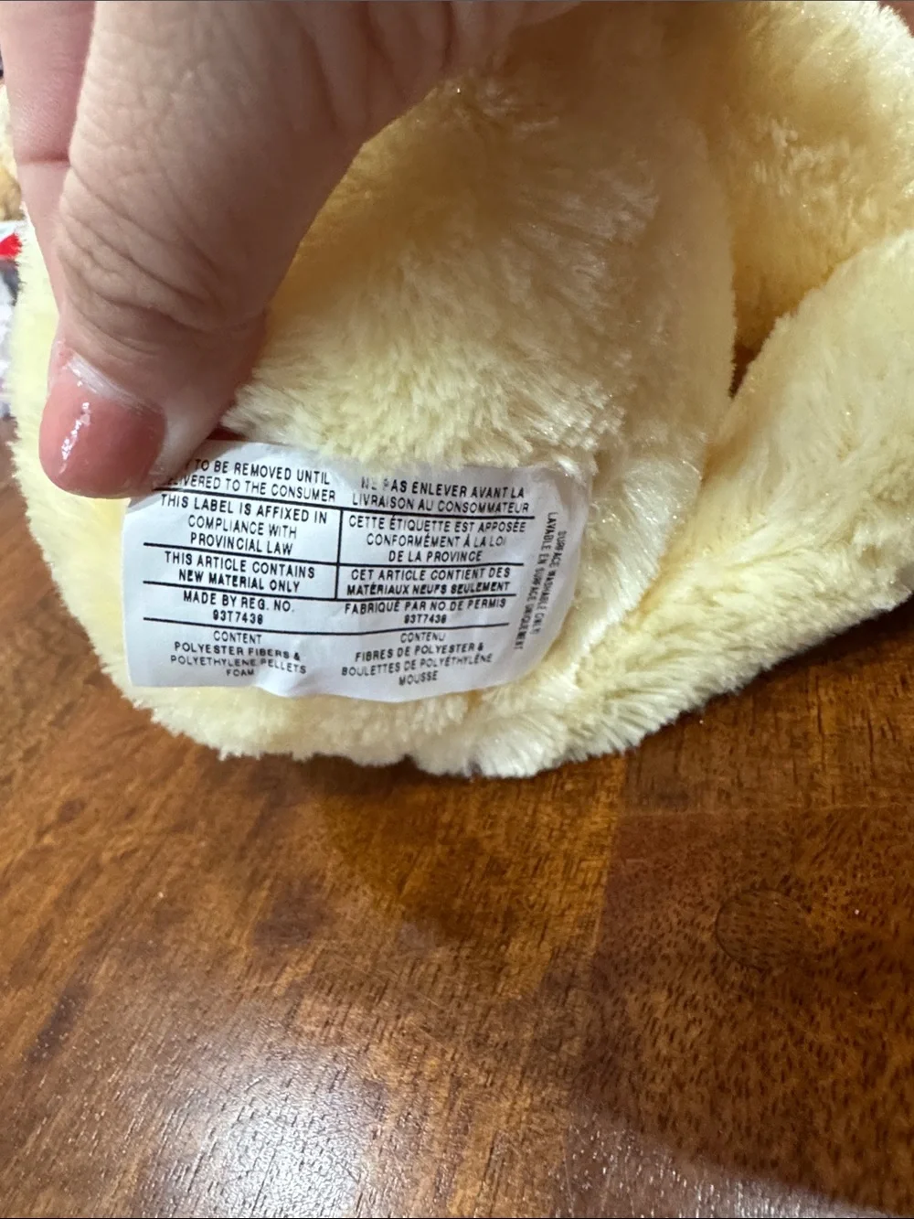 Y2K Disney Plush Winnie the Pooh with Chick Plush